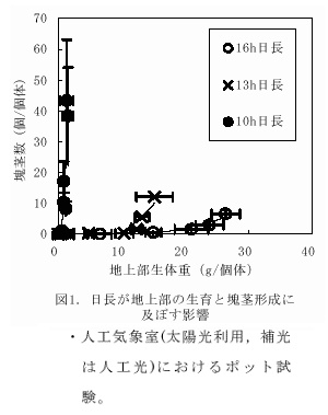 図1.日長が地上部の生育と塊茎形成に及ぼす影響