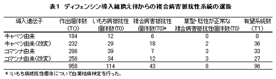 表1 ディフェンシン導入組換え体からの複合病害抵抗性系統の選抜