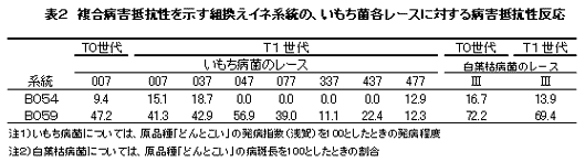 表2 複合病害抵抗性を示す組換えイネ系統の、いもち菌各レースに対する病害抵抗性反応