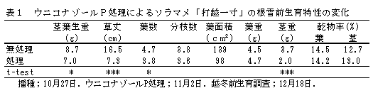 表1 ウニコナゾールP処理によるソラマメ「打越一寸」の根雪前生育特性の変化
