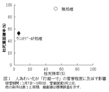 図1 人為わい化が「打越一寸」の雪害程度に及ぼす影響