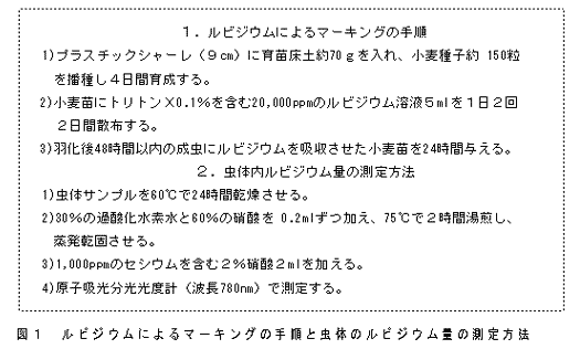 図1 ルビジウムによるマーキングの手順と虫体のルビジウム量の測定方法