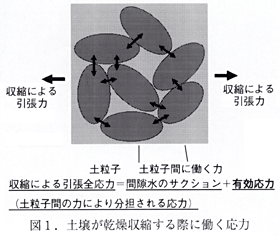 図1.土壌が乾燥収縮する際に働く応力