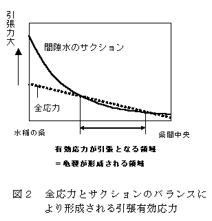 図2 全応力とサクションのバランスにより形成される引張有効応力