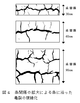 図4 条間隔の拡大による条に沿った亀裂の複線化