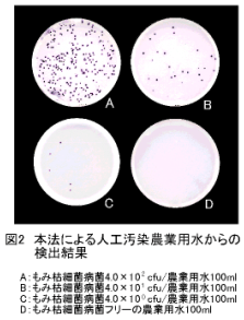 図2.本法による人工汚染農業用水からの検出結果