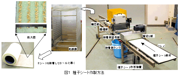 図1 種子シート作製方法