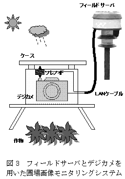図3 フィールドサーバとデジカメを 用いた圃場画像モニタリングシステム
