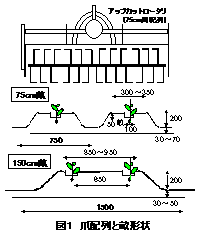図1 爪配列と畝形状