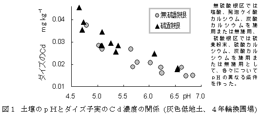 図1 土壌のpHとダイズ子実のCd濃度の関係