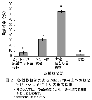 図2 各種移植法によるPMMoV汚染土への移植