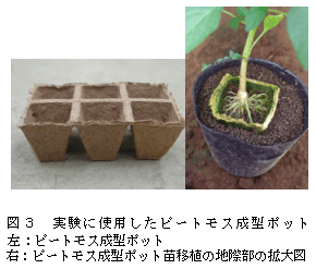 図3.実験に使用したピートモス成型ポット