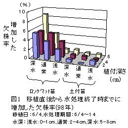 図1 移植直後から水処理終了時までに増加した欠株率