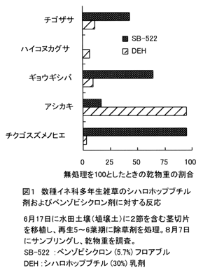 図1 数種イネ科多年生雑草のシハロホップブチル 剤およびベンゾビシクロン剤に対する反応