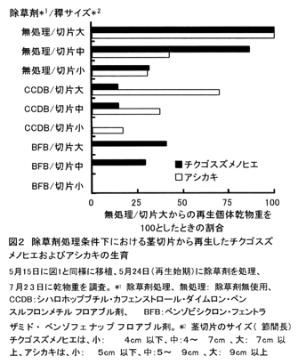 図2 除草剤処理条件下における茎切片から再生したチクゴスズメノヒエおよびアシカキの生育