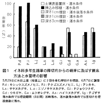 図1.イネ科多年生雑草の稈切片からの萌芽に及ぼす置床方法と水管理の影響