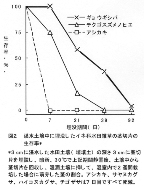 図2  湛水土壌中に埋没したイネ科水田雑草の茎切片の生存率