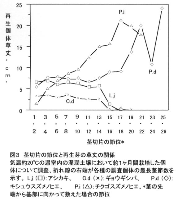 図3 茎切片の節位と再生芽の草丈の関係