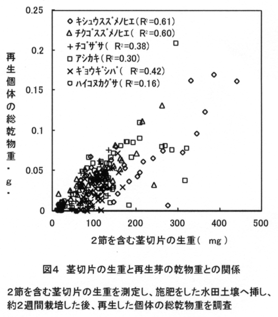図4 茎切片の生重と再生芽の乾物重との関係