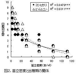 図2.苗立密度と出穂期の関係