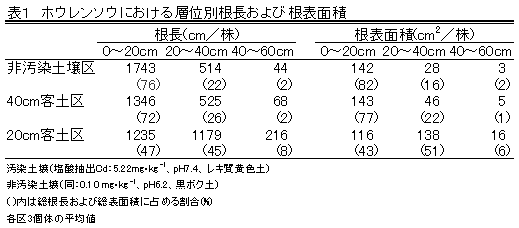 表1 ホウレンソウにおける層位別根長および根表面積