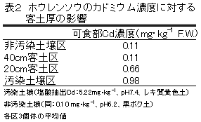 表2 ホウレンソウのカドミウム濃度に対する客土厚の影響