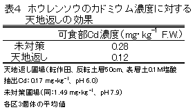 表4 ホウレンソウのカドミウム濃度に対する天地返しの効果