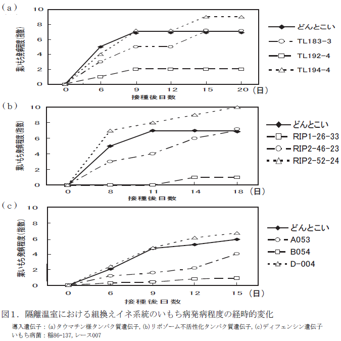 図1.隔離温室における組換えイネ系統のいもち病発病程度の経時的変化