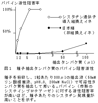 図1 種子抽出タンパク質のパパイン阻害活性