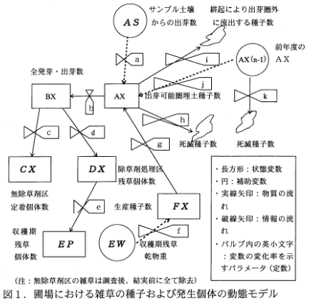 図1.圃場における雑草の種子および発生個体の動態モデル