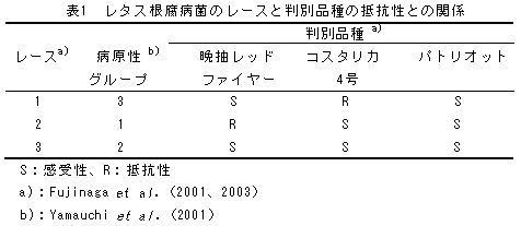 表1 レタス根腐病菌のレースと判別品種の抵抗性との関係
