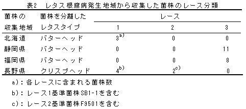 表2 レタス根腐病発生地域から収集した菌株のレース分類