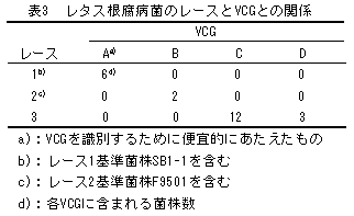 表3 レタス根腐病菌のレースとVCGとの関係