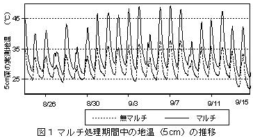 図1 マルチ処理期間中の地温(5cm)の推移