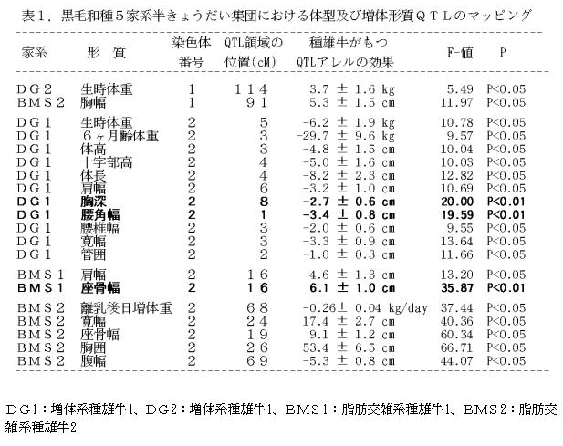 表1 黒毛和種5家系半きょうだい集団における体型及び増体形質QTLのマッピング