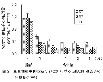 図2 黒毛和種牛骨格筋3部位におけるMSTN遺伝子の発現量の推移