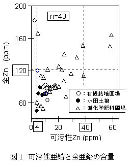 図1 可溶性亜鉛と全亜鉛の含量