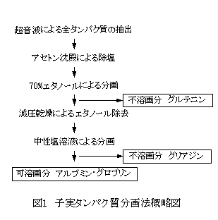 図1 子実タンパク質分画法概略図