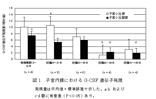 図1 子宮内膜におけるG-CSF遺伝子発現