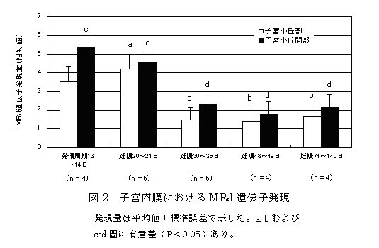 図2 子宮内膜におけるMRJ遺伝子発現