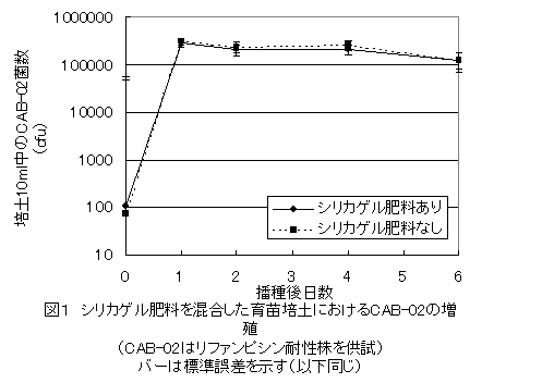 図1 シリカゲル肥料を混合した育苗培土におけるCAB-02の増殖