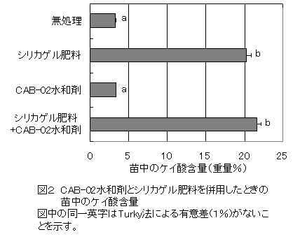 図2 CAB-02水和剤とシリカゲル肥料を併用したときの苗中のケイ酸含量
