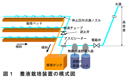 図1 養液栽培装置の模式図