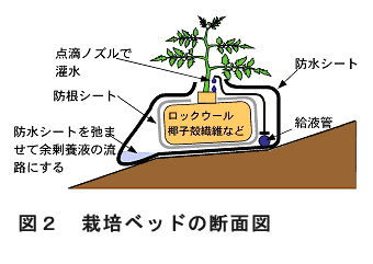図2 栽培ベッドの断面図