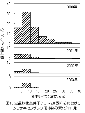 図1.定置放牧条件下(1.0～2.0頭/ha)におけるムラサキセンブリの個体数の変化(11月)

