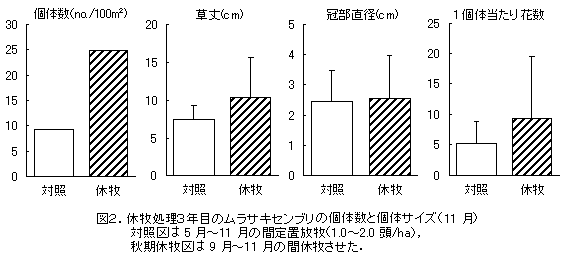 図2.休牧処理3年目のムラサキセンブリの個体数と個体サイズ(11月)