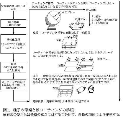 図1.種子の準備と鉄コーティングの手順