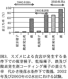 図3.スズメによる食害が発生する条 件下での催芽種子、乾燥種子、鉄及び 酸素発生剤コーティング種子の苗立 ち率