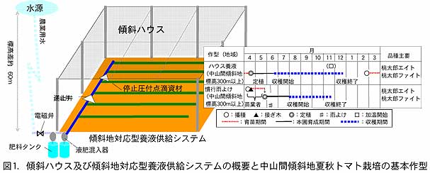 図1.傾斜ハウス及び傾斜地対応型養液供給システムの概要と中山間傾斜地夏秋トマト栽培の基本作型
