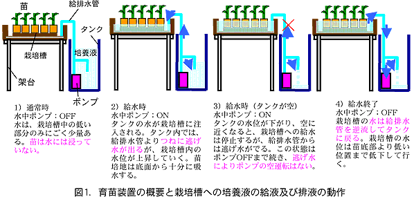 図1.育苗装置の概要と栽培槽への培養液の給液及び排液の動作